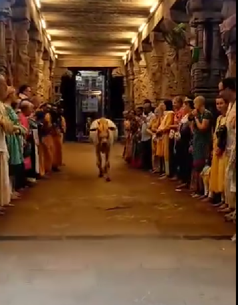 Gopuja Ceremony